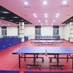 Indoor table tennis court floor